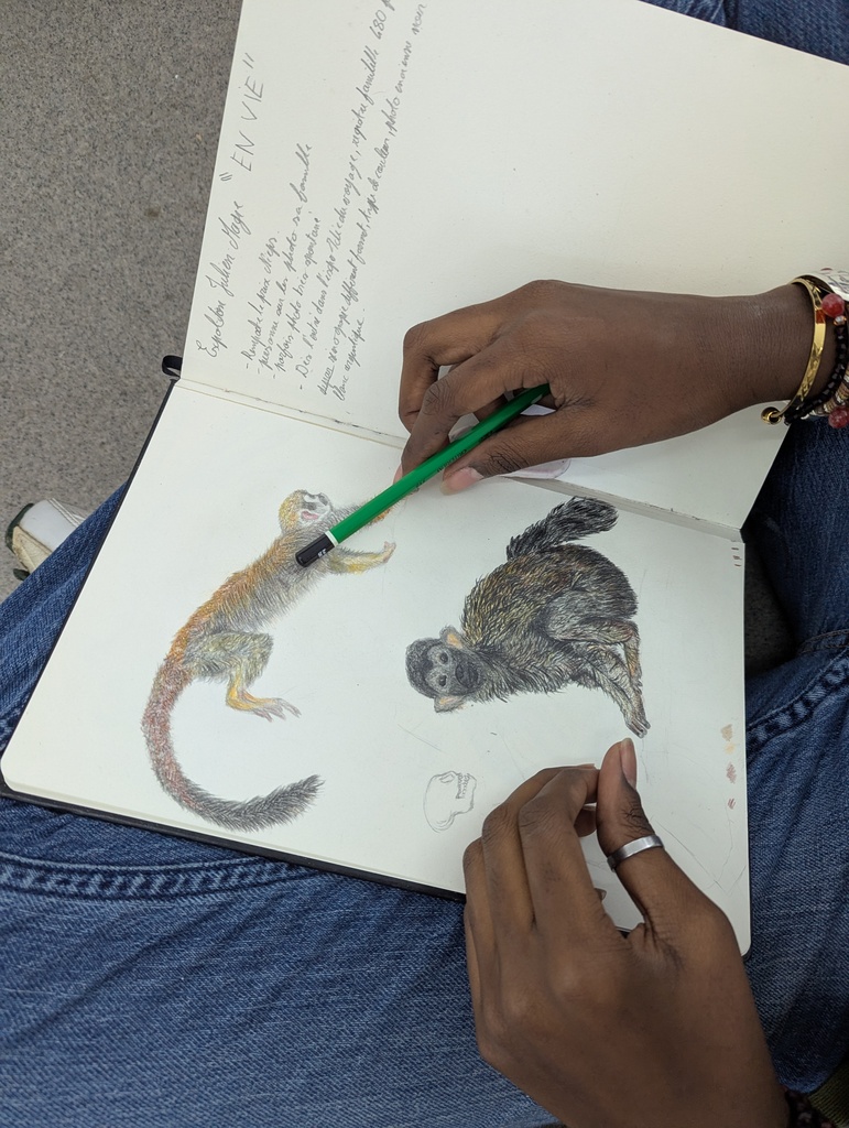 Consulter cet article