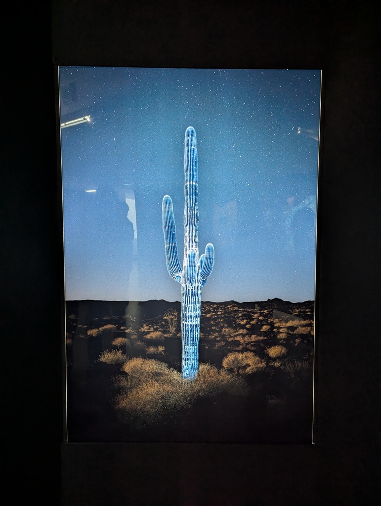 Consulter cet article